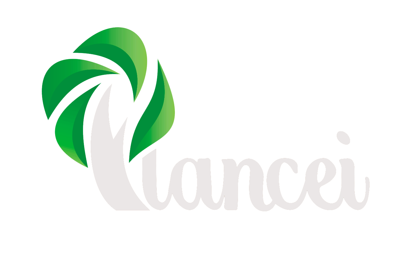 PlanceiLogoWhiteWithoutText